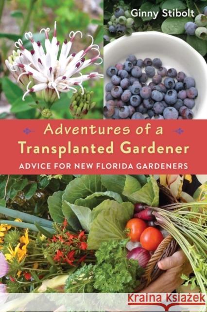 Adventures of a Transplanted Gardener: Advice for New Florida Gardeners Ginny Stibolt 9780813068640 University Press of Florida