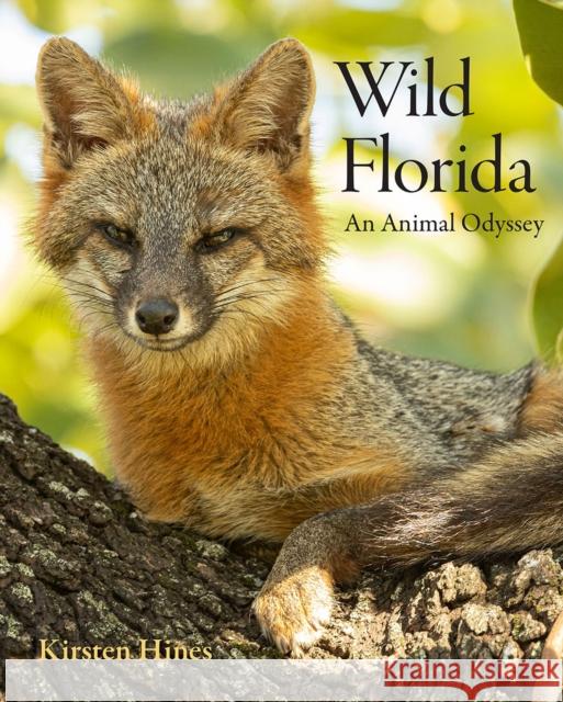 Wild Florida: An Animal Odyssey Kirsten Hines 9780813069814 University Press of Florida