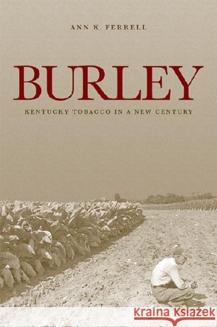 Burley: Kentucky Tobacco in a New Century Ferrell, Ann K. 9780813142333 University Press of Kentucky