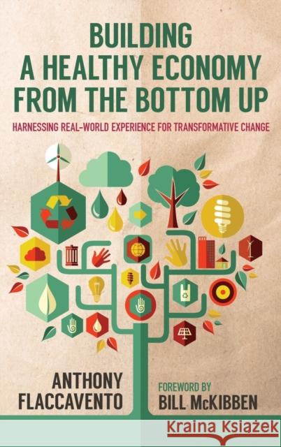 Building a Healthy Economy from the Bottom Up: Harnessing Real-World Experience for Transformative Change Anthony Flaccavento Bill McKibben 9780813167343