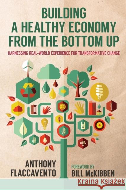 Building a Healthy Economy from the Bottom Up: Harnessing Real-World Experience for Transformative Change Anthony Flaccavento Bill McKibben 9780813167596 University Press of Kentucky