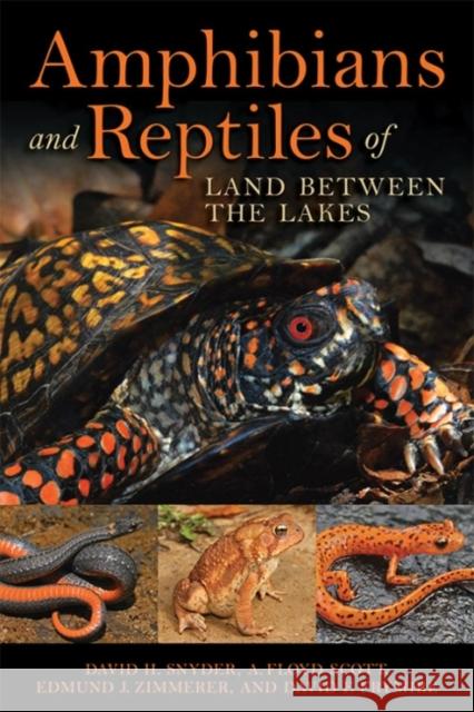 Amphibians and Reptiles of Land Between the Lakes Edmund J. Zimmerer David H. Snyder A. Floyd Scott 9780813167671