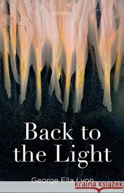 Back to the Light: Poems George Ella Lyon 9780813181189 University Press of Kentucky