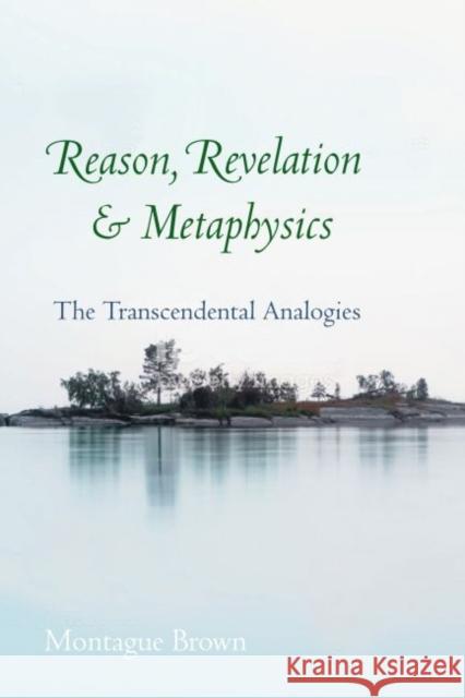 Reason, Revelation, and Metaphysics: The Transcendental Analogies Montague Brown 9780813233512