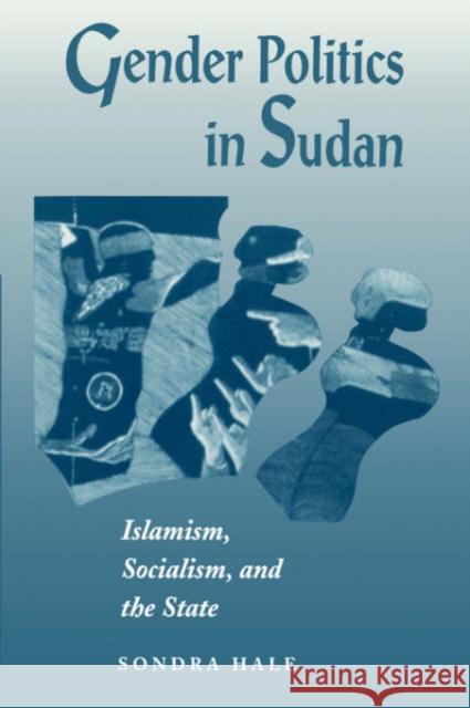 Gender Politics In Sudan : Islamism, Socialism, And The State Sondra Hale 9780813333700 Westview Press