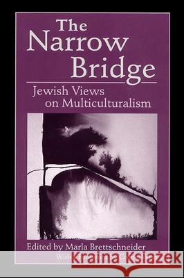 The Narrow Bridge: Jewish Views on Multiculturalism Brettschneider, Marla 9780813522906 Rutgers University Press