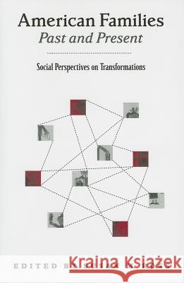 American Families Past and Present: Social Perspectives on Transformations Ross, Susan 9780813538181