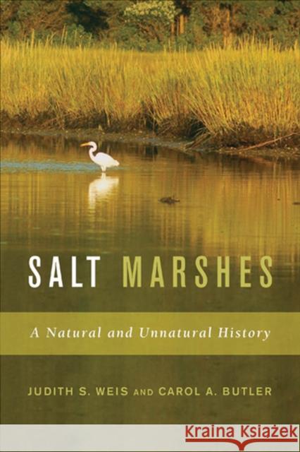 Salt Marshes: A Natural and Unnatural History Weis, Judith S. 9780813545707
