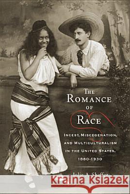 The Romance of Race: Incest, Miscegenation, and Multiculturalism in the United States, 1880-1930 Sheffer, Jolie A. 9780813554624 Rutgers University Press