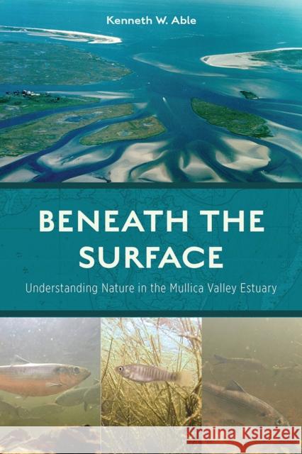 Beneath the Surface: Understanding Nature in the Mullica Valley Estuary Kenneth W. Able 9780813590196 Rutgers University Press