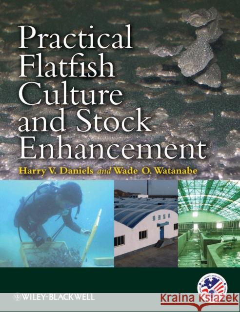 Practical Flatfish Culture and Stock Enhancement  9780813809427 IOWA STATE UNIVERSITY PRESS