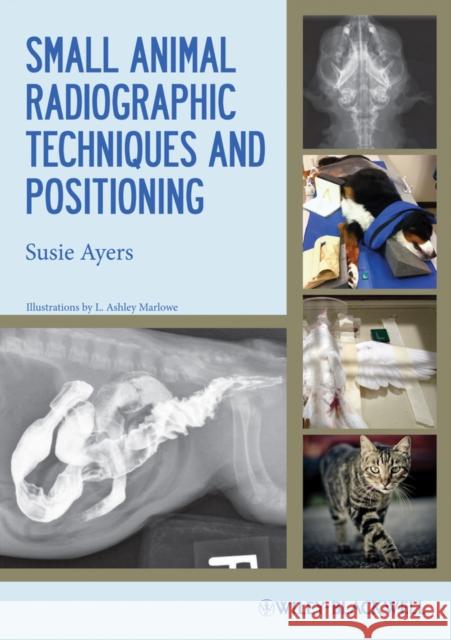 Small Animal Radiographic Techniques and Positioning Susie Ayers 9780813811529 0