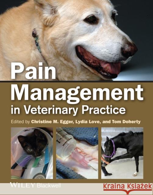 Pain Mgmt Small Animal Vet Pra Love, Lydia 9780813812243 John Wiley & Sons