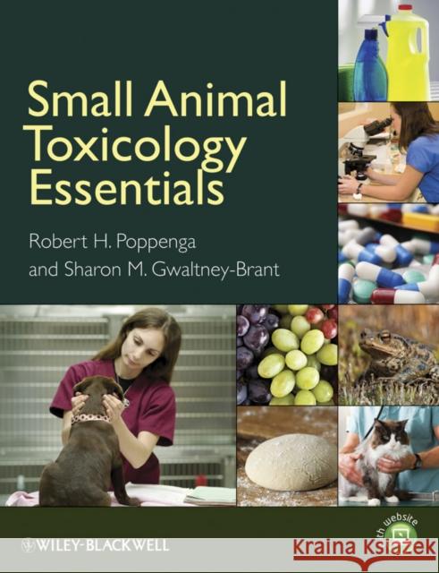 Small Animal Toxicology Essentials Robert H. Poppenga Sharon Gwaltney–Brant  9780813815381 Wiley & Sons