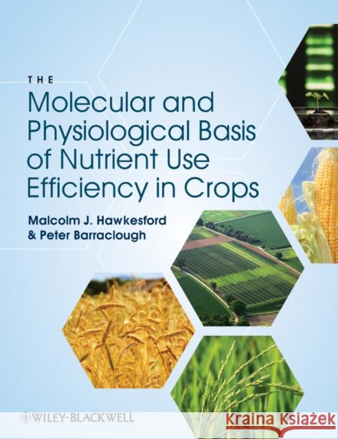 The Molecular Basis of Nutrient Use Efficiency in Crops Hawkesford, Malcolm J. 9780813819921 Wiley-Blackwell