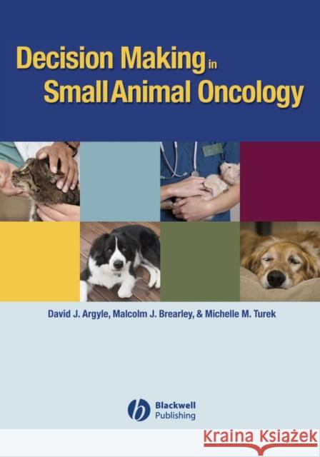 Decision Making Sm Animal Onco Argyle, David J. 9780813822754 Blackwell Publishers