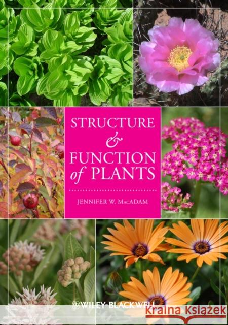Structure and Function of Plants  9780813827186 Blackwell Publishers