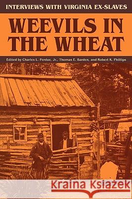 Weevils in the Wheat: Interviews with Virginia Ex-Slaves Charles L. Perdue Robert K. Phillips Thomas E. Barden 9780813913704 University of Virginia Press