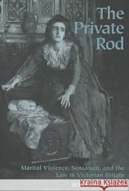 The Private Rod: Marital Violence, Sensation, and the Law in Victorian Britain Tromp, Marlene 9780813919492