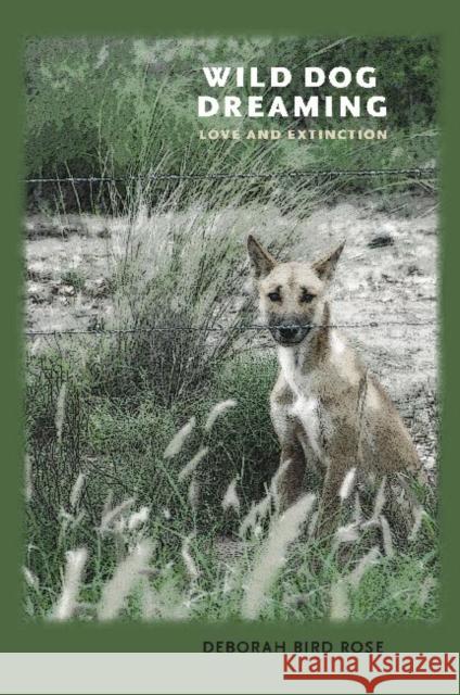 Wild Dog Dreaming: Love and Extinction Rose, Deborah Bird 9780813930916