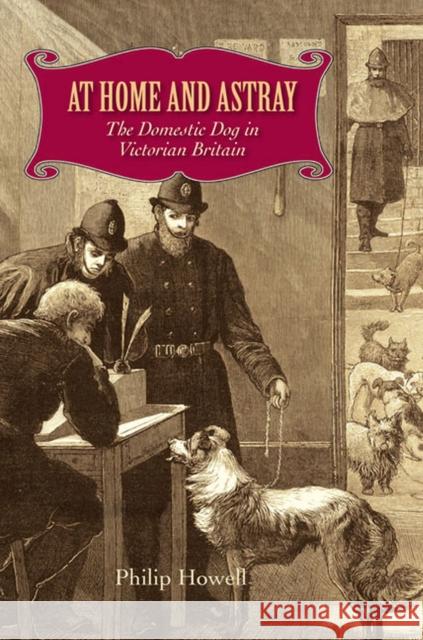 At Home and Astray: The Domestic Dog in Victorian Britain Philip Howell 9780813936864