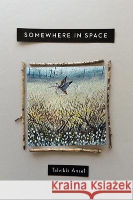 Somewhere in Space Talvikki Ansel 9780814252246 Ohio State University Press