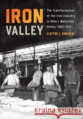 Iron Valley: The Transformation of the Iron Industry in Ohio's Mahoning Valley, 1802-1913 Ruminski, Clayton J. 9780814253762 Trillium
