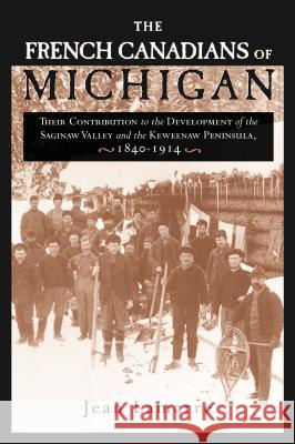The French Canadians of Michigan: Their Contribution to the Development of the Saginaw Valley and the Keweenaw Peninsula, 1840-1914 Lamarre, Jean 9780814331583 Wayne State University Press