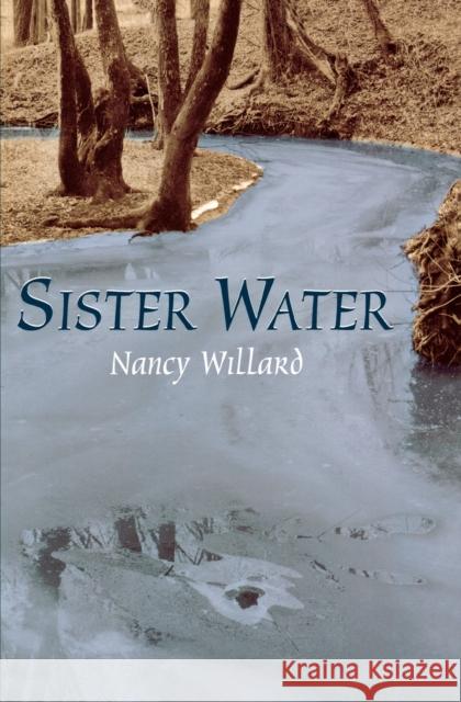 Sister Water Willard, Nancy 9780814332443 Wayne State University Press