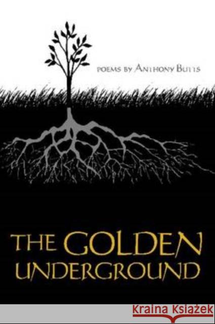 The Golden Underground  9780814333891 Wayne State University Press