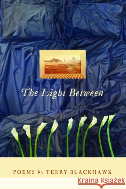 The Light Between Terry Blackhawk 9780814336144 Wayne State University Press