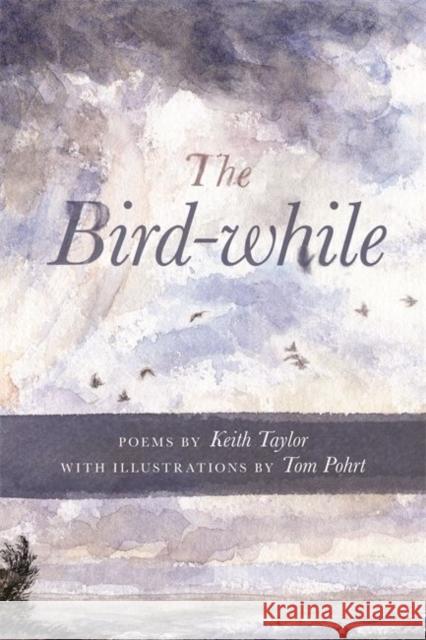 The Bird-While Keith Taylor 9780814342404