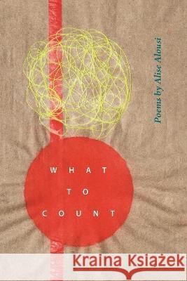 What to Count Alise Alousi 9780814350706