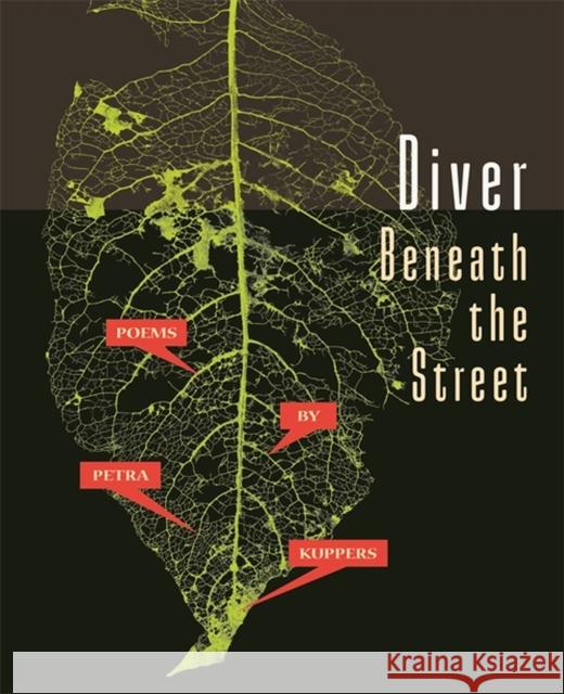 Diver Beneath the Street Petra Kuppers 9780814351116 Wayne State University Press