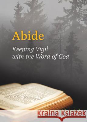 Abide: Keeping Vigil with the Word of God Macrina Wiederkehr 9780814633830 Liturgical Press