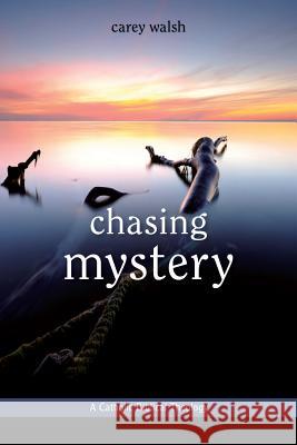 Chasing Mystery: A Catholic Biblical Theology Carey Ellen Walsh 9780814680698