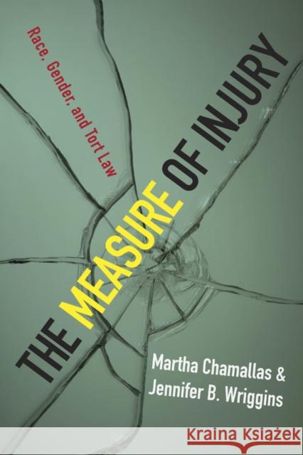 The Measure of Injury: Race, Gender, and Tort Law Martha Chamallas Jennifer Wriggins 9780814716762 New York University Press