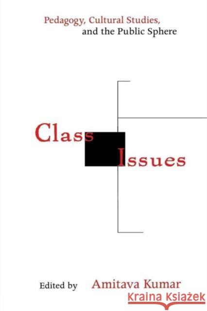 Class Issues: Pedagogy, Cultural Studies, and the Public Sphere Amitava Kumar 9780814746967