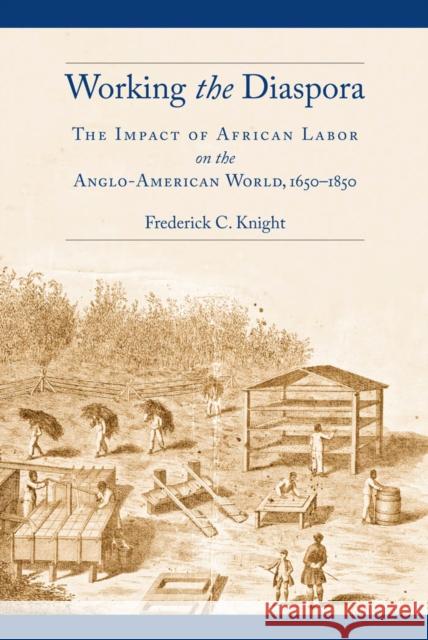 Working the Diaspora: The Impact of African Labor on the Anglo-American World, 1650-1850 Frederick Knight 9780814748183 New York University Press