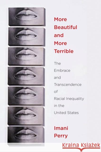 More Beautiful and More Terrible: The Embrace and Transcendence of Racial Inequality in the United States Perry, Imani 9780814767368