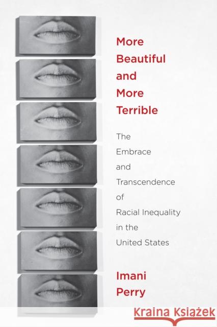More Beautiful and More Terrible: The Embrace and Transcendence of Racial Inequality in the United States Perry, Imani 9780814767375