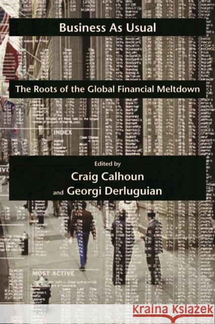 Business as Usual: The Roots of the Global Financial Meltdown Craig Calhoun Georgi Derluguian 9780814772775 New York University Press