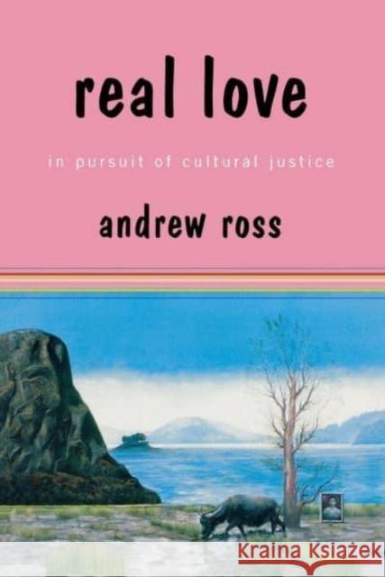 Real Love: In Pursuit of Cultural Justice Andrew Ross 9780814775059 New York University Press