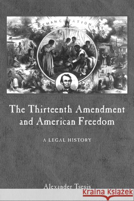 The Thirteenth Amendment and American Freedom: A Legal History Alexander Tsesis 9780814782767 New York University Press