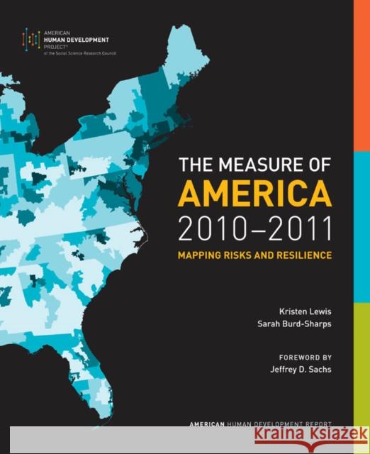 The Measure of America, 2010-2011: Mapping Risks and Resilience Lewis, Kristen 9780814783801 New York University Press