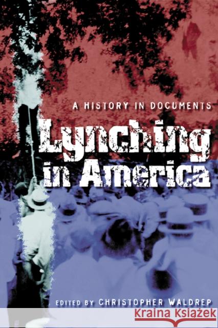 Lynching in America: A History in Documents Waldrep, Christopher 9780814793992