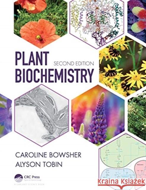 Plant Biochemistry Caroline Bowsher Alyson Tobin 9780815344995 Taylor & Francis Inc