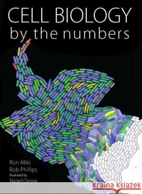 Cell Biology by the Numbers Ron Milo Rob Phillips 9780815345374 Taylor & Francis Inc