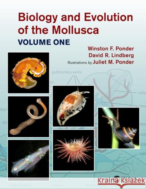 Biology and Evolution of the Mollusca, Volume 1 Winston Frank Ponder David R. Lindberg Juliet Mary Ponder 9780815361695 CRC Press