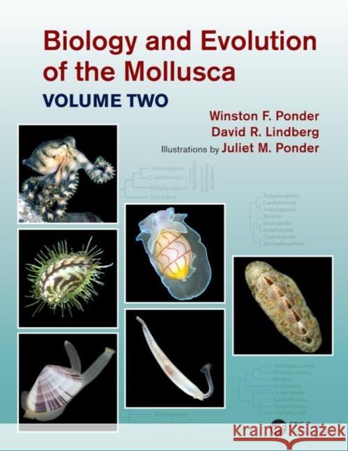 Biology and Evolution of the Mollusca, Volume 2 Lindberg, David R. 9780815361848 CRC Press